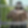 PTB_part1 thumbnail