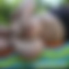 SamSlopes thumbnail